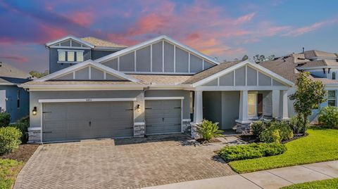 A home in LAND O LAKES