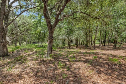 Tiny photo for 15810 SW 59th Avenue Road, Ocala, FL 34473 (MLS # O6416087)