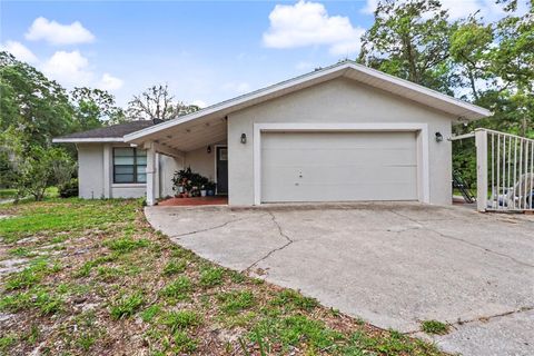 Photo of 20250 SW 93 Lane Road, Dunnellon, FL 34431 (MLS # OM725162)