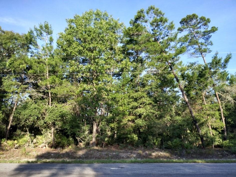 Listing image 8
