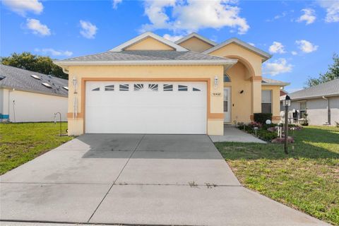 Photo of 10468 S Drew Bryant Circle, Floral City, FL 34436 (MLS # OM702093)