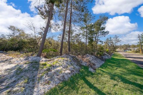 WALDOR AVENUE ORANGE CITY FL 32763