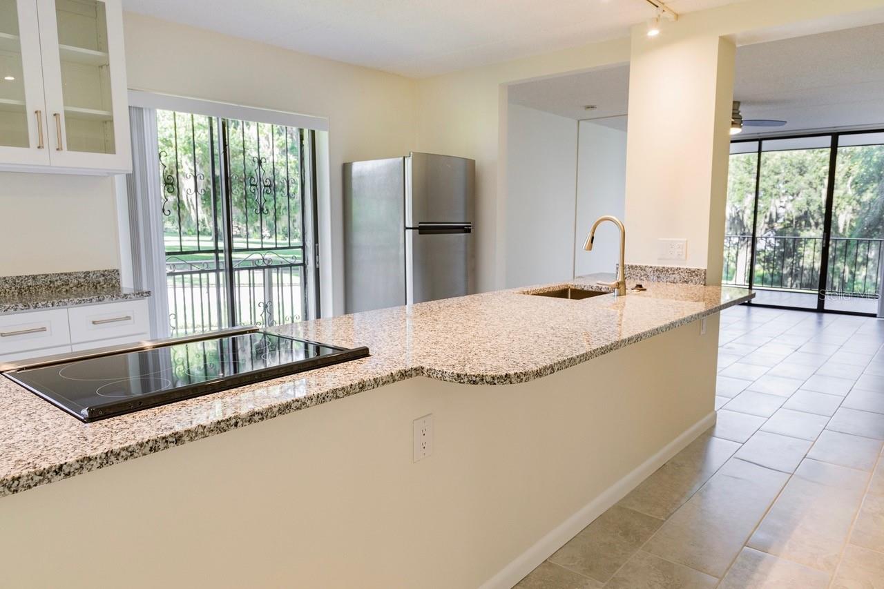 LAKE HOWARD TERRACE - Residential