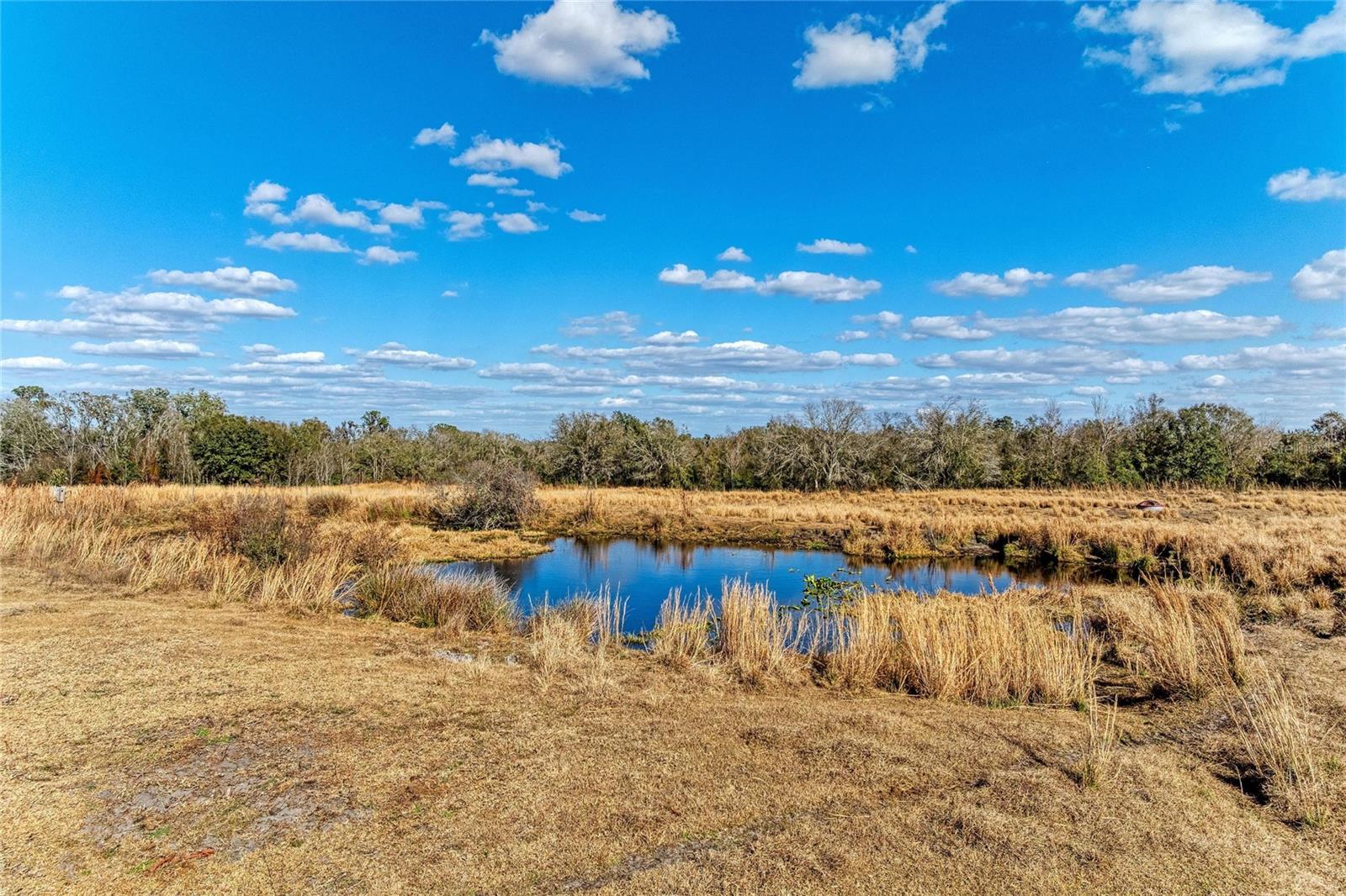 ACREAGE - Land