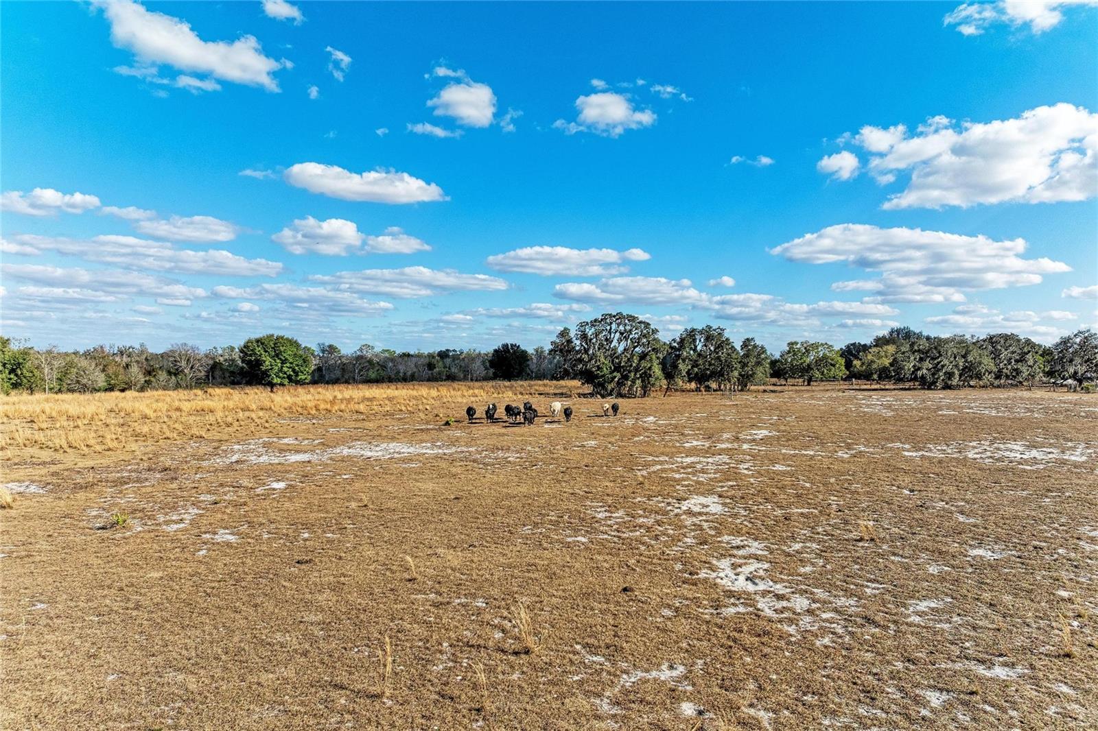 ACREAGE - Land