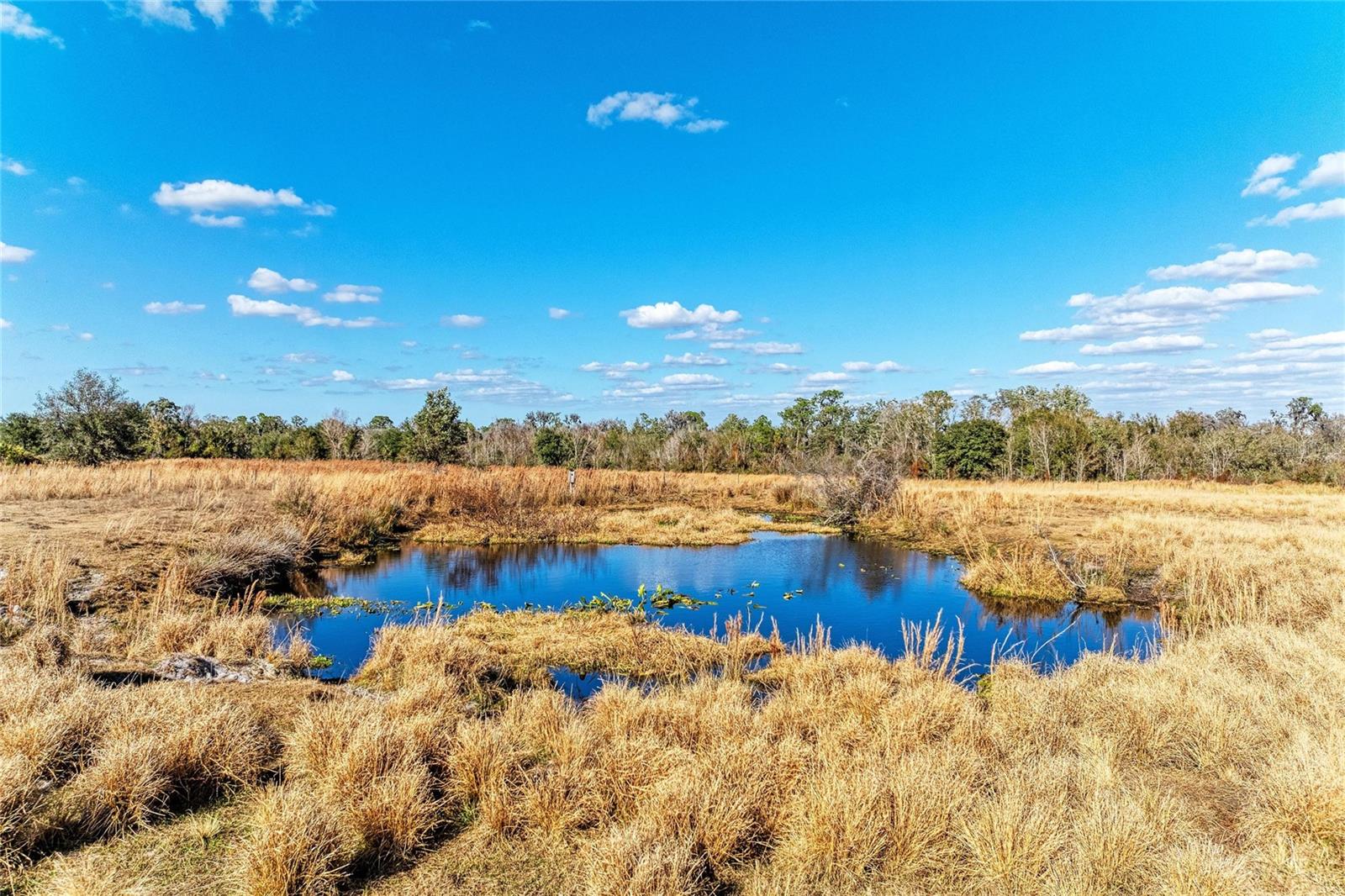ACREAGE - Land