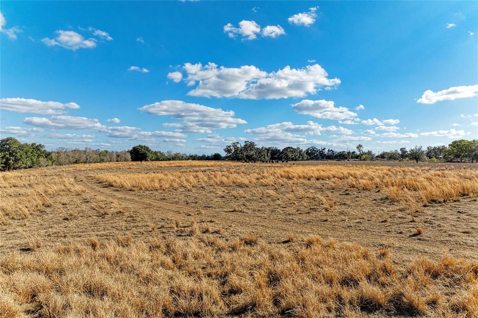 ACREAGE - Land