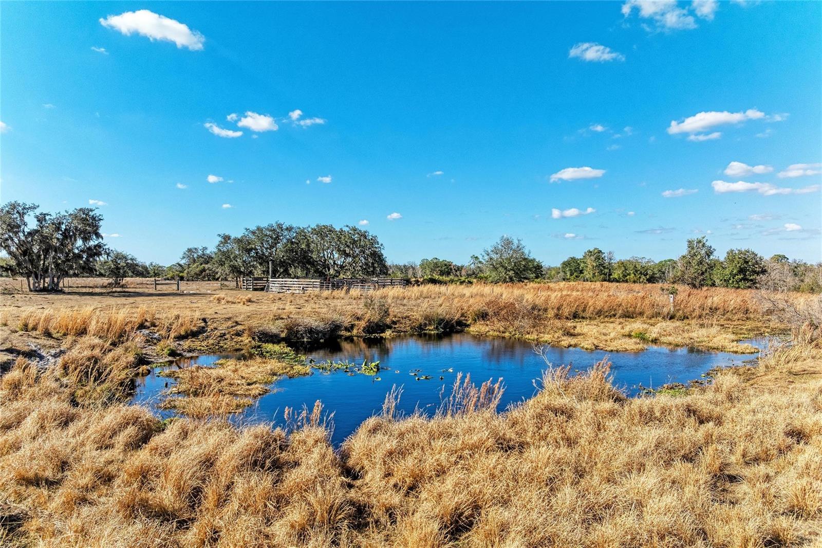 ACREAGE - Land