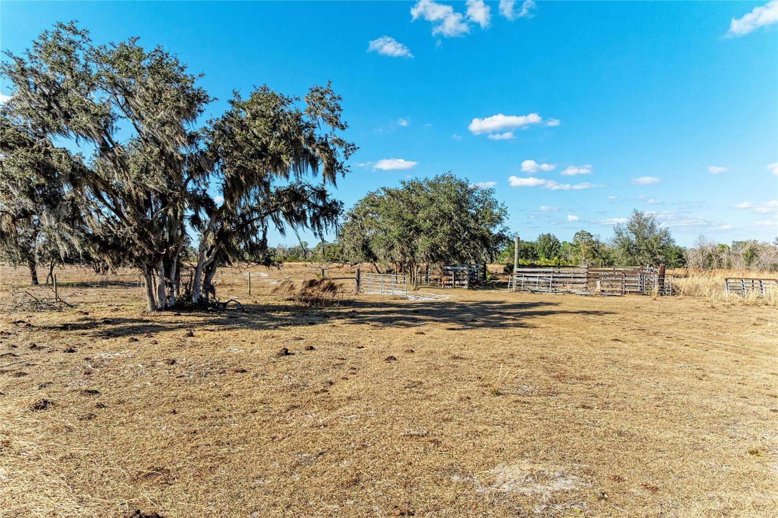 ACREAGE - Land
