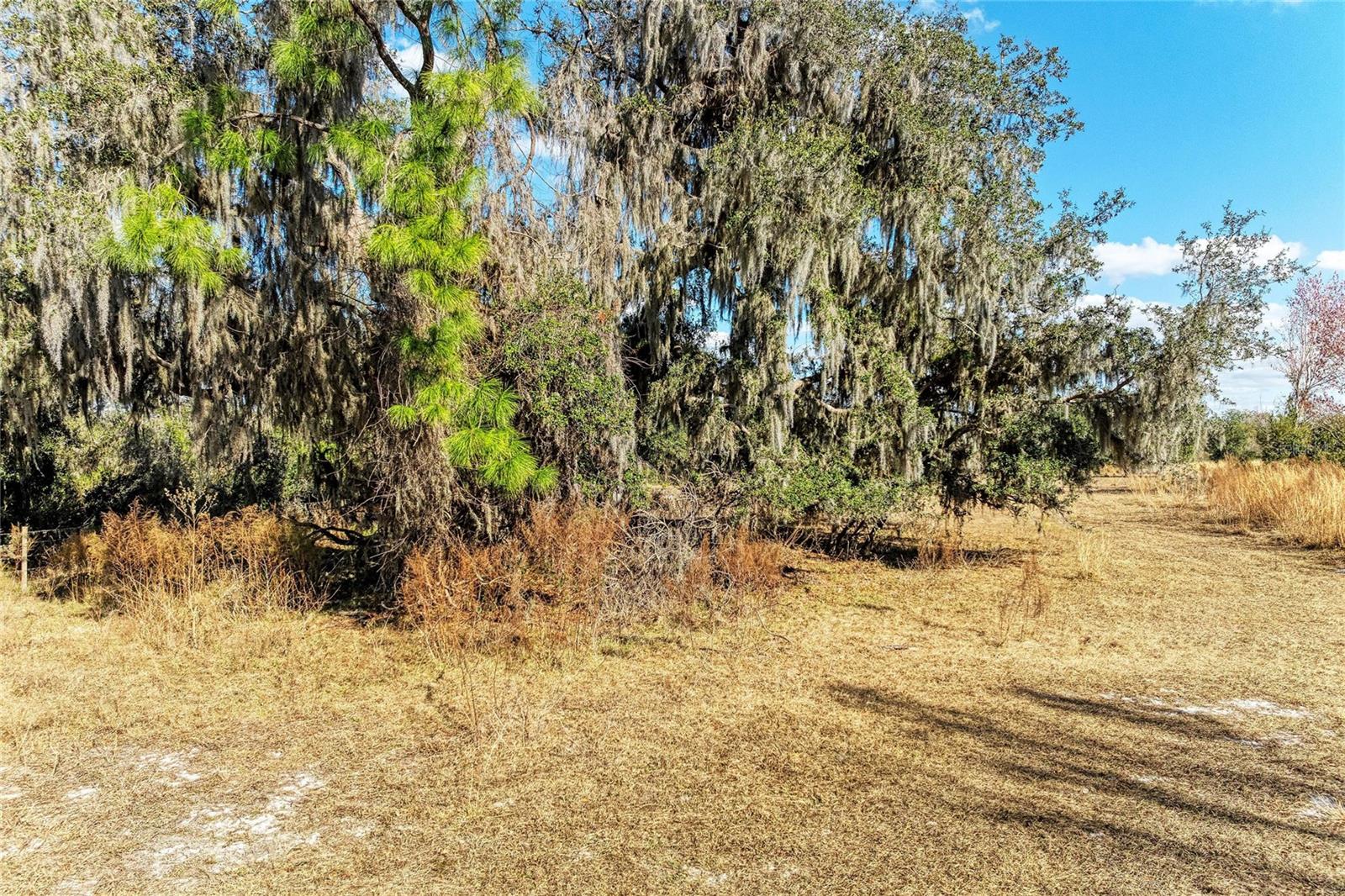 ACREAGE - Land