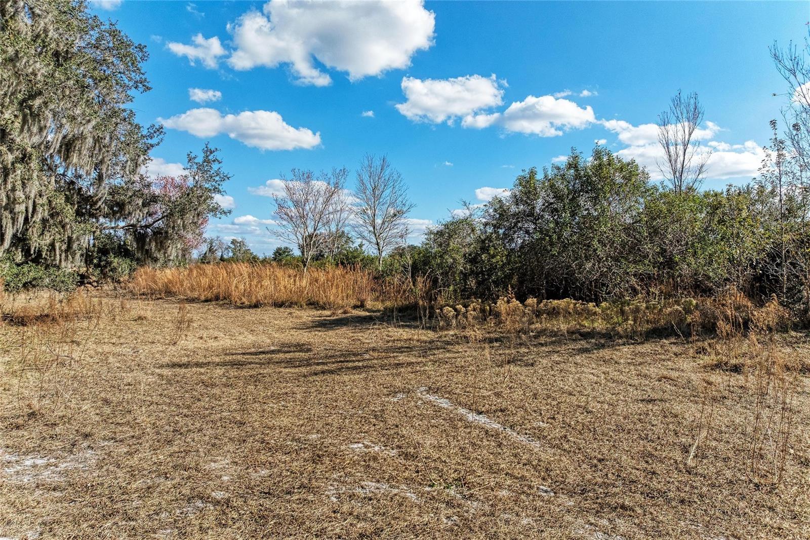 ACREAGE - Land