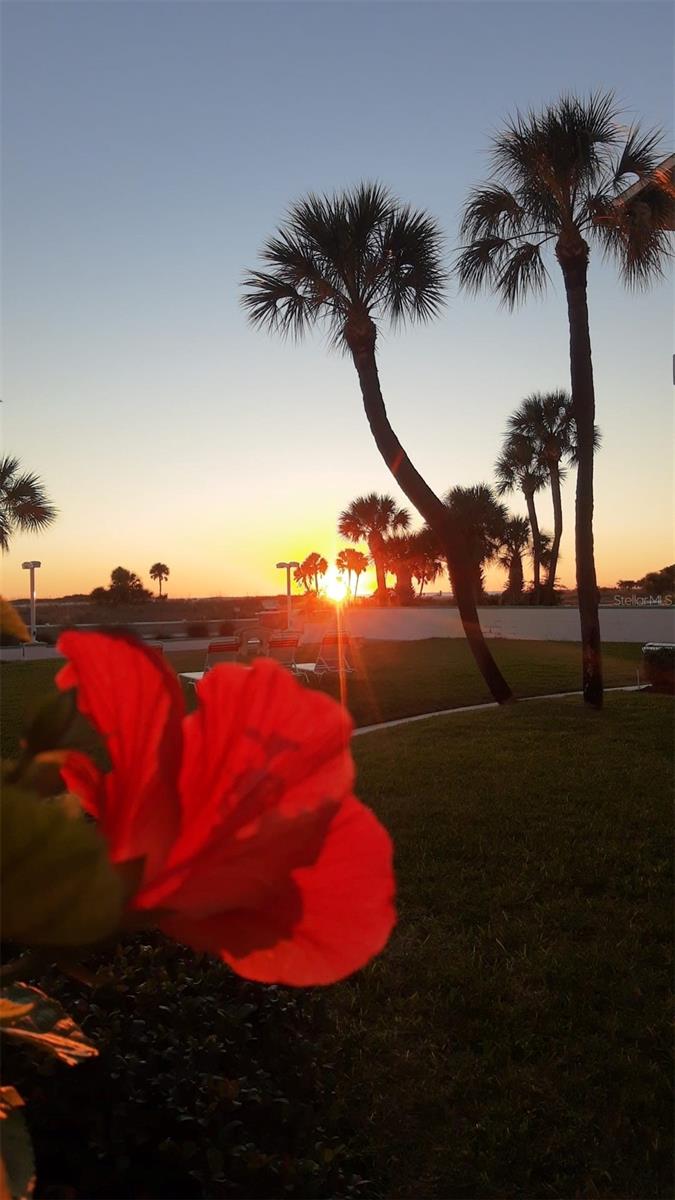 TROPIC TERRACE APT - Residential