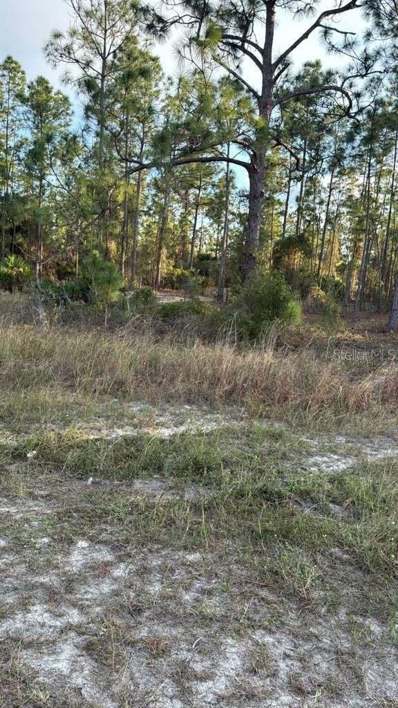 918 BELMONT STREET E