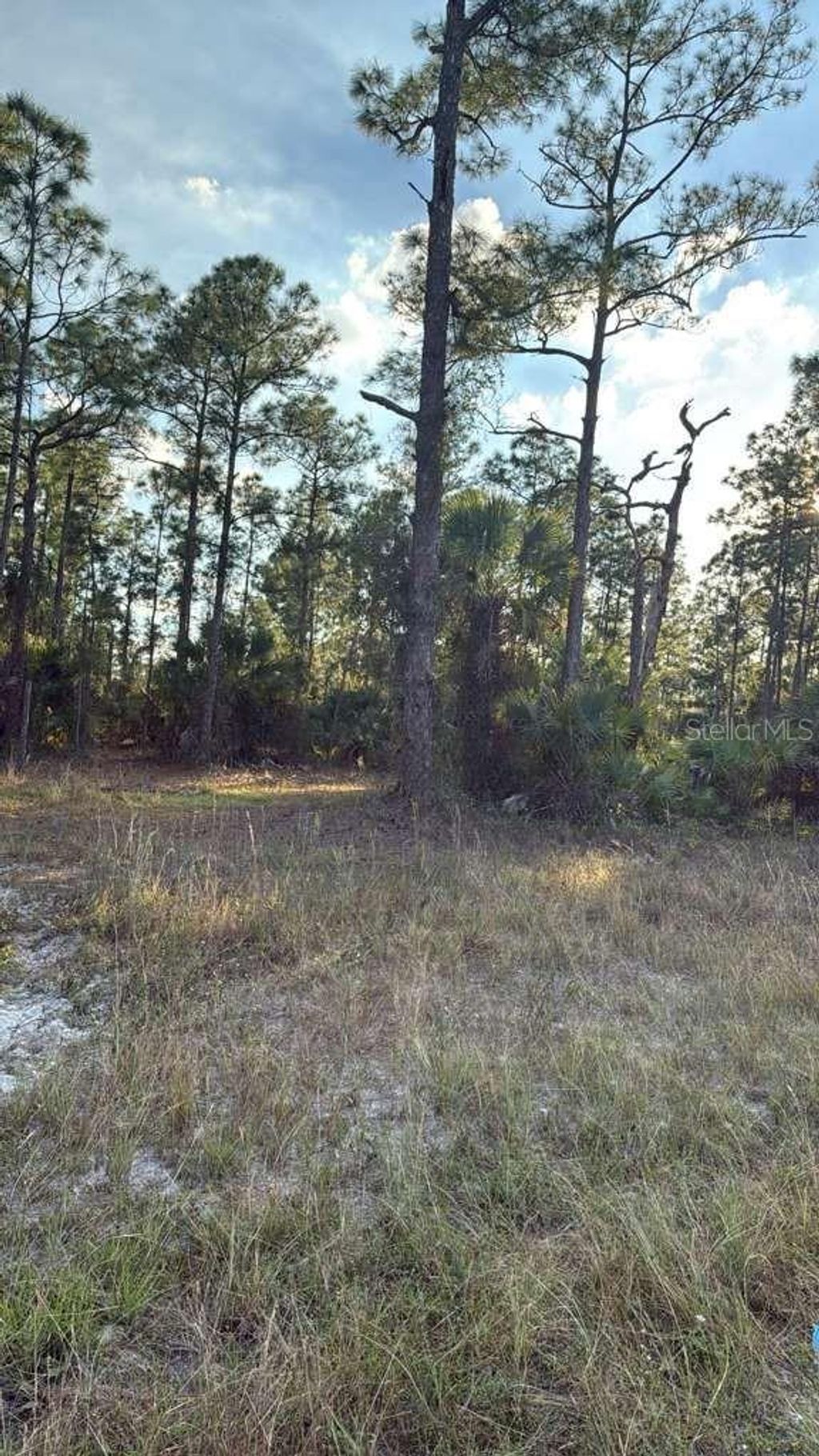 Photo of 918 Belmont Street E, Lehigh Acres, FL 33974 (MLS # TB8487798)