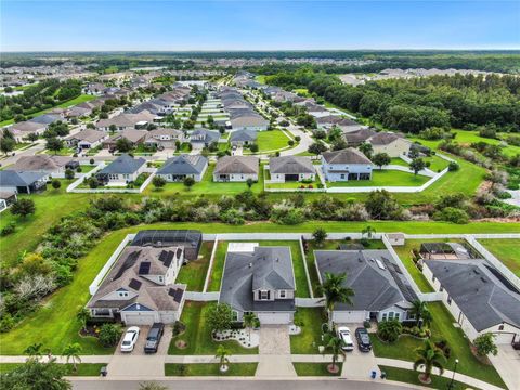 A home in RIVERVIEW