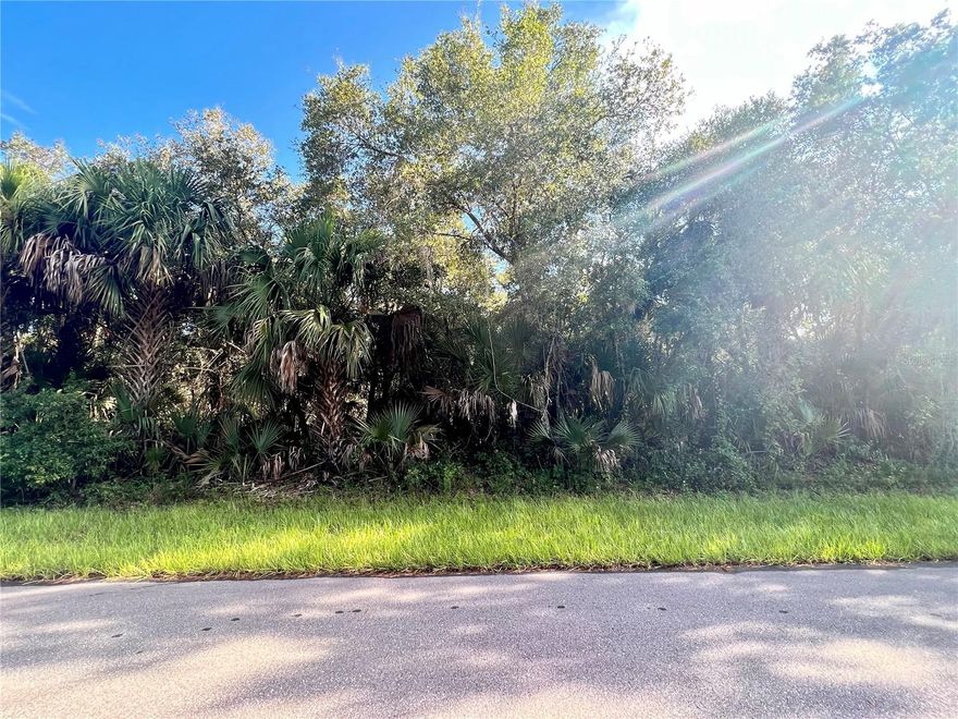 Very nice southern rear exposure lot in a lightly developed neighborhood. Adjacent lot is also for sale.