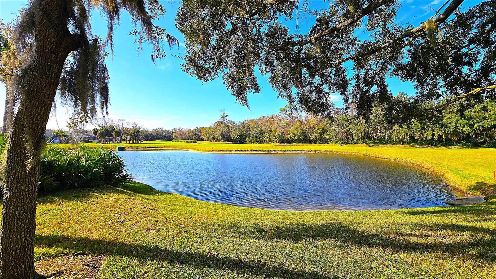 TIMBER GREENS PH 01B - Residential