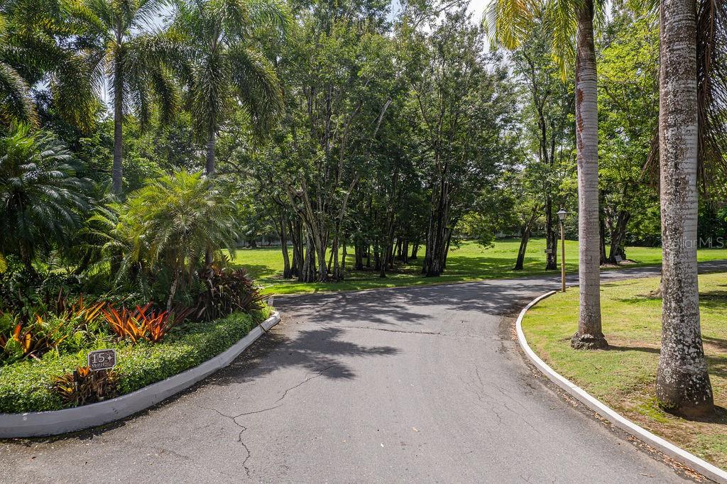 16 DORADO BEACH ESTATES