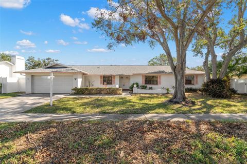 A home in CLEARWATER