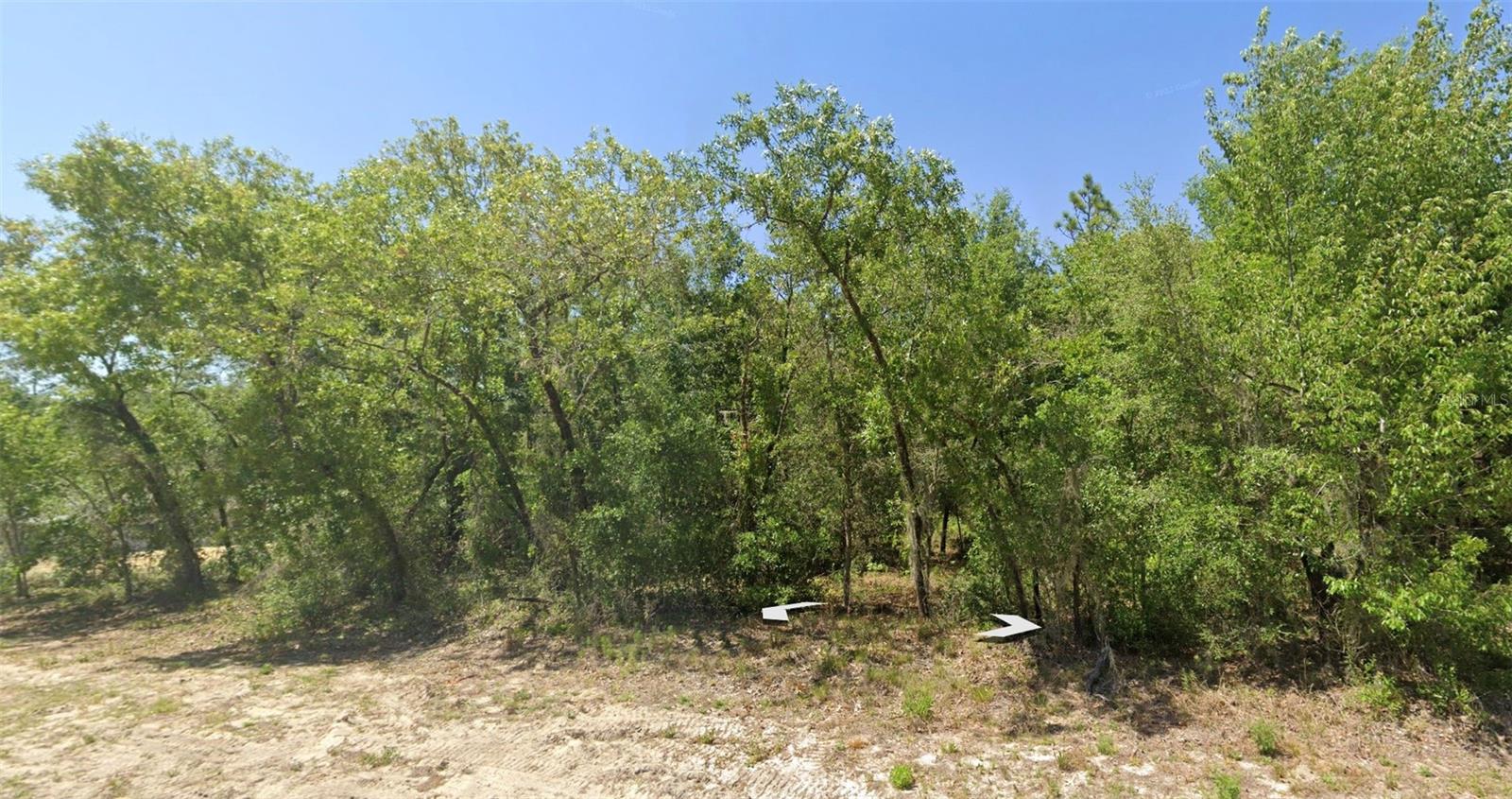 Build your dream home on this beautiful vacant lot in the growing community of Rainbow Lakes Estates! Located in a peaceful setting with no HOA, this property offers plenty of space and flexibility for your future home or investment. With new homes being built throughout the area, now is the perfect time to secure your piece of Florida living!