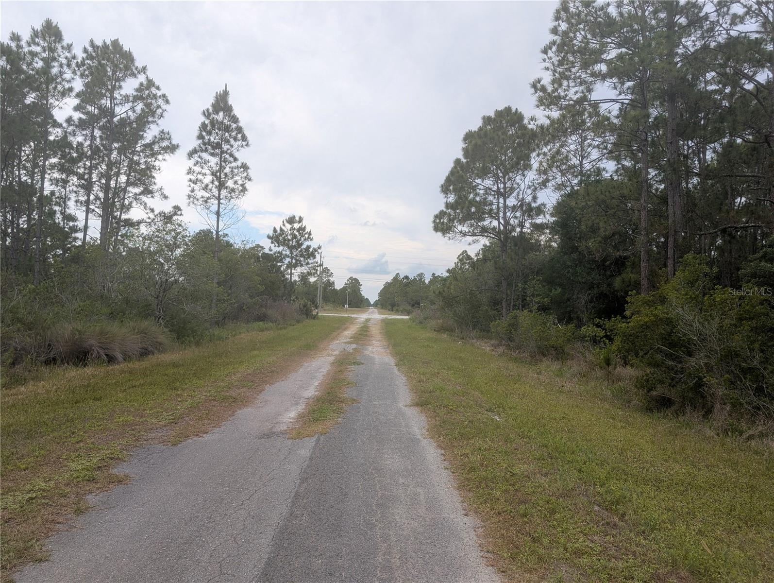 INDIAN LAKE ESTATES - Land