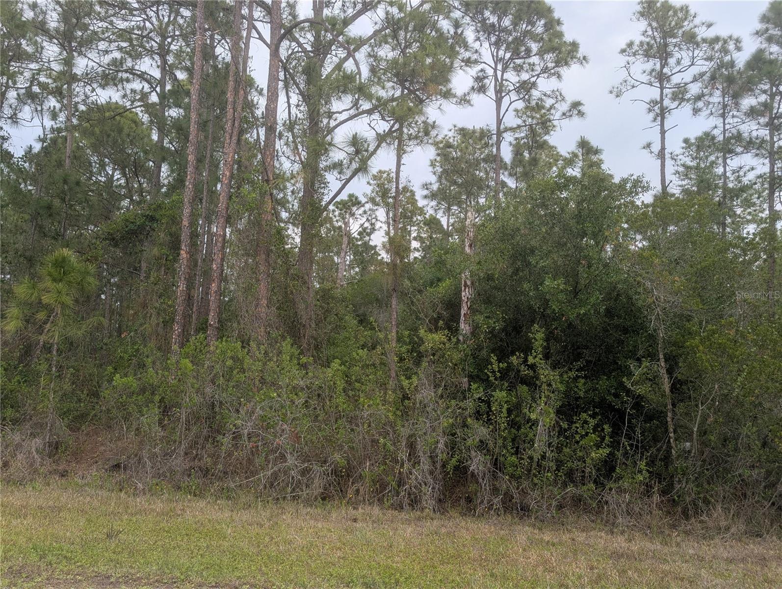 INDIAN LAKE ESTATES - Land