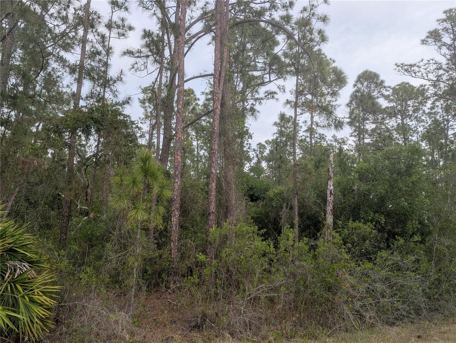 INDIAN LAKE ESTATES - Land