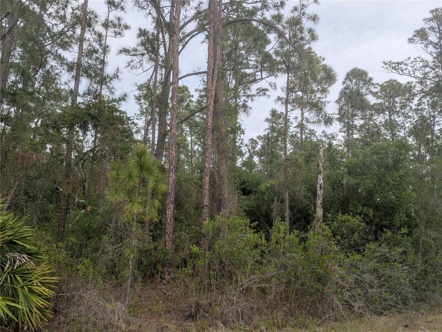 Come build your forever home on this one-half acre lot located in the lake community of Indian Lake Estates, a golfing, fishing and boating community in the center of Florida. You can be out on Lake Walk in Water fishing in just minutes! Indian Lake Estates is about 20 miles east of Lake Wales. The community surrounds the 7,500 acre lake locally known as Lake Walk In Water, nationally known for its fishing and considered to be one of the best bass fishing lakes in all Florida. The lake has a beach, boat ramp, boat marina and the longest freshwater Fishing pier in the State of Florida. The pavilion is located at the front of the pier and is complete with propane grills and covered picnic tables. The community amenities include an 18-hole golf course, basketball and tennis courts, 23, 000 sq.ft. clubhouse, cafe, post office, churches, library, fitness room and pro shop. If you love nature and the peace and quiet of the country you're in luck. Wildlife is plentiful! You will see deer, raccoon, turkey, turtles, cranes and various species of birds that call Indian Lake Estates their home.
Orlando and Disney is only about an hour's drive north and Tampa, Busch Gardens, and the Gulf's pristine beaches only a little over an hour west. Historic Bok Tower, a National Landmark, is in nearby Lake Wales. The Westgate River Ranch Resort and Rodeo is just six miles away. An authentic Florida dude ranch and full-service resort offering guests the opportunity to experience "Old Florida." Encompassing 1,700 beautiful acres, Westgate River Ranch features horseback riding, wildlife airboat and swamp buggy rides, Saturday night championship rodeo, trap/skeet range, nature hikes, petting farm, marina, Adventure Park with zip line and rock climbing wall, Westgate Smokehouse Grill and River Ranch Saloon and much more. Cowboy-themed accommodations range from ranch-themed lodge guestrooms and deluxe lodge suites to spacious cottages, two-bedroom cabins, Glamping and Luxe Teepees. Come out and see how great life can be at Indian Lake Estates! Polk County's best kept secret!