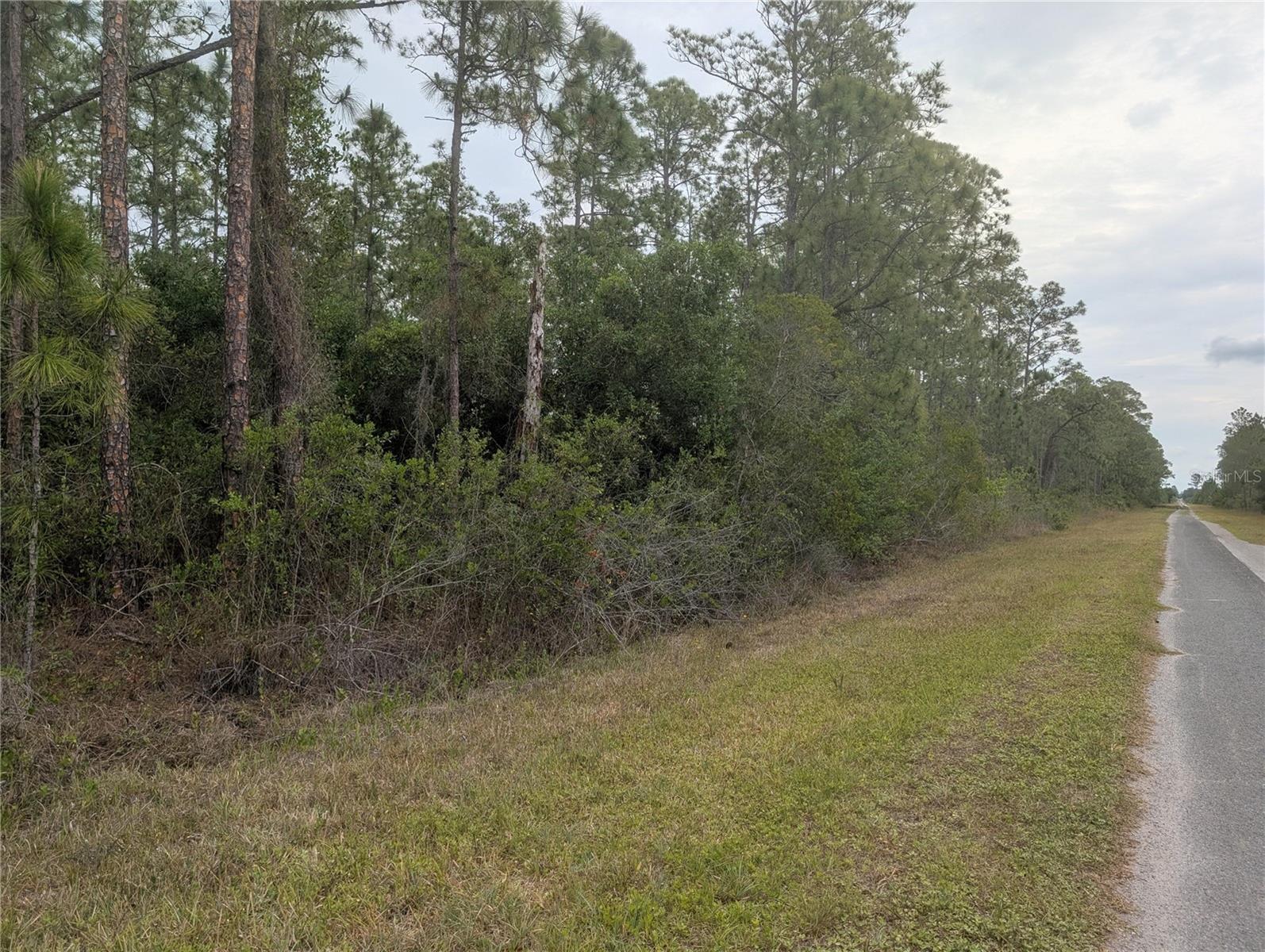 INDIAN LAKE ESTATES - Land
