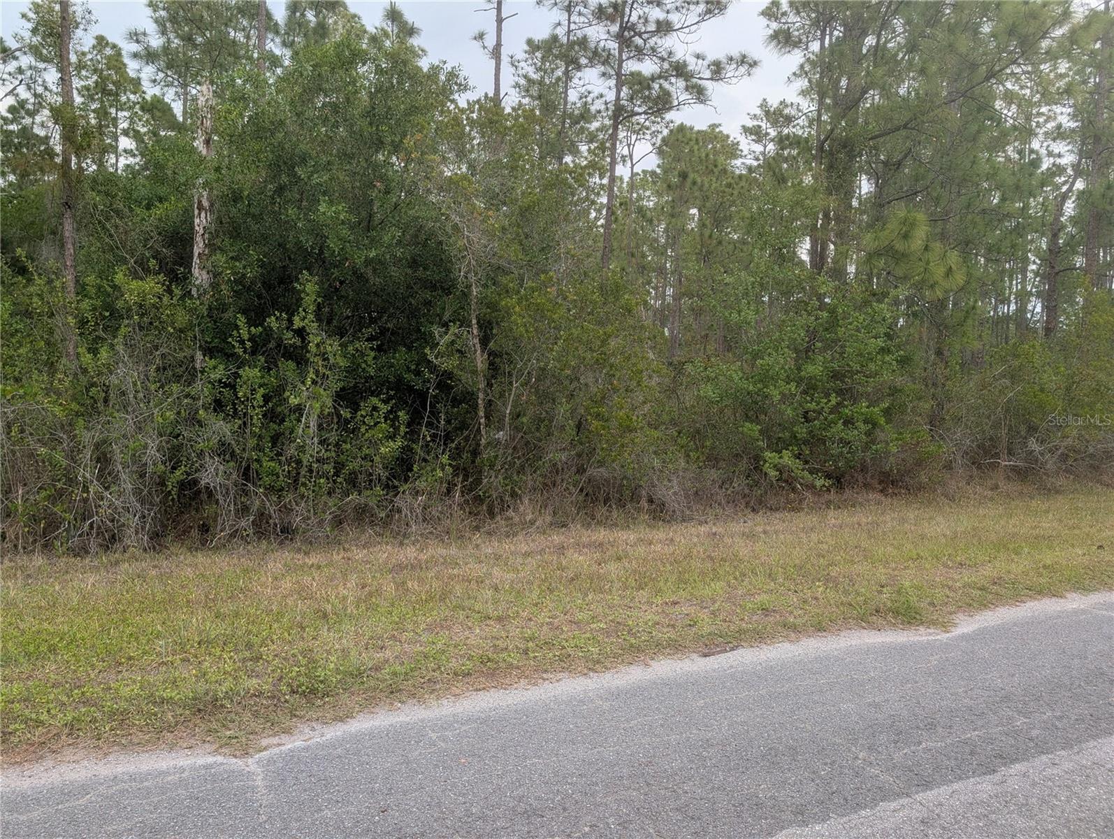 INDIAN LAKE ESTATES - Land