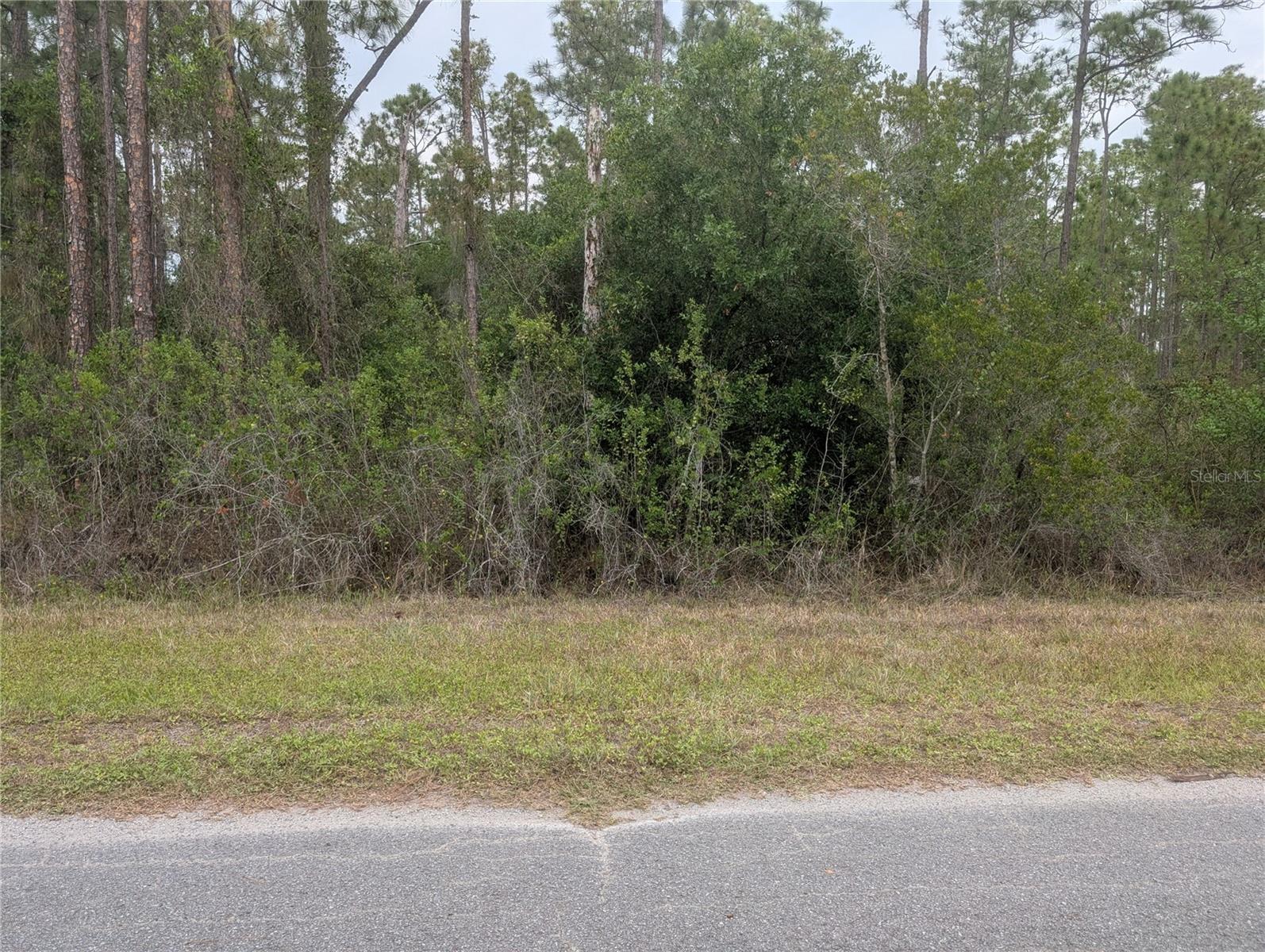INDIAN LAKE ESTATES - Land