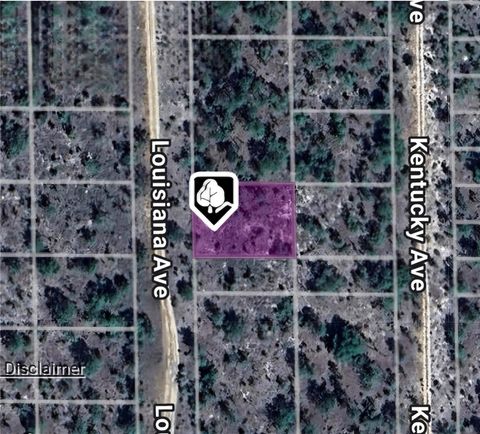 LOT 39 LOUISIANA AVENUE HAWTHORNE FL 32640