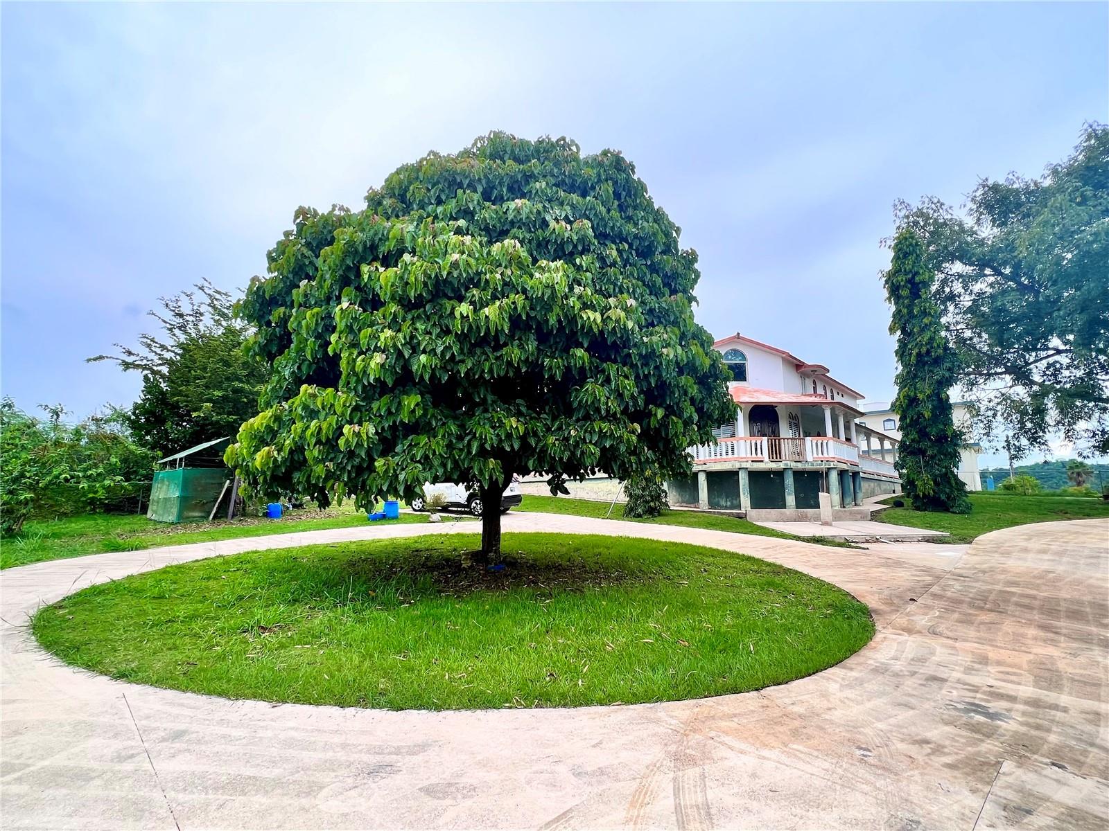 500 BRISAS DE BARAHONA