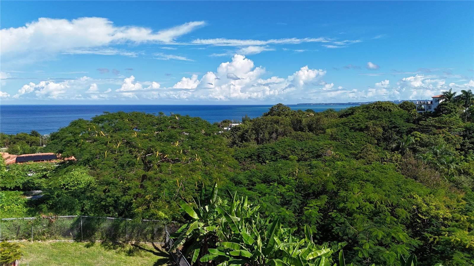 PUNTAS - Residential