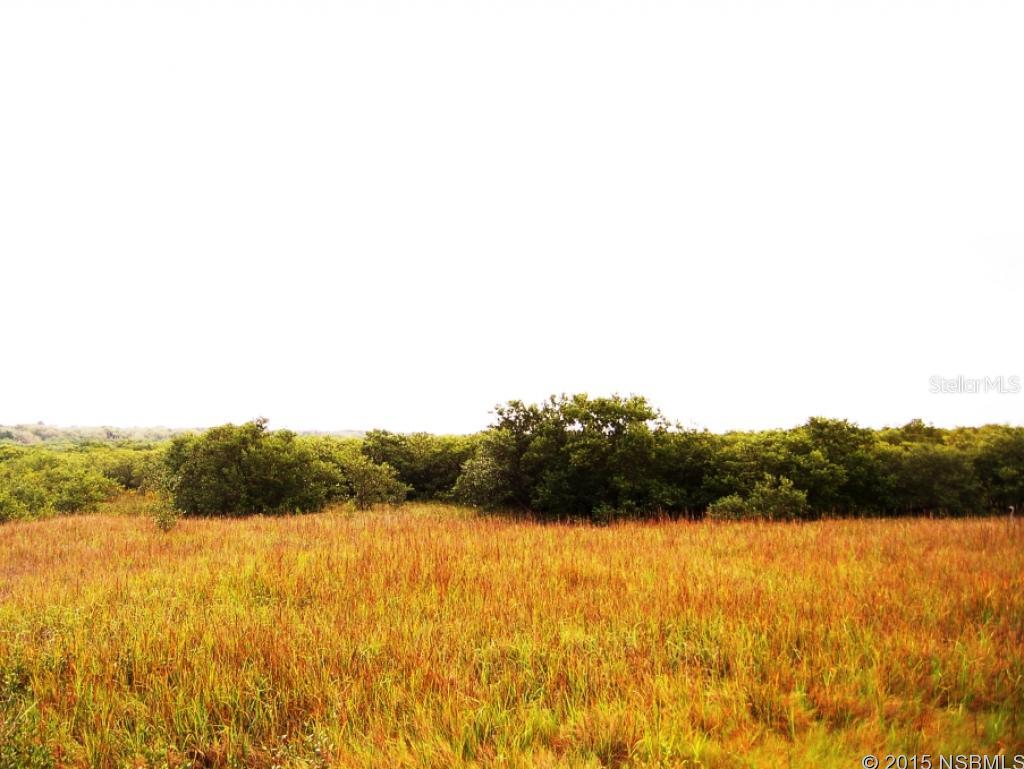 Detwilers Add 01 New Smyrna Bch - Commercial Sale