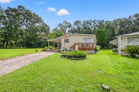 A home in ZEPHYRHILLS