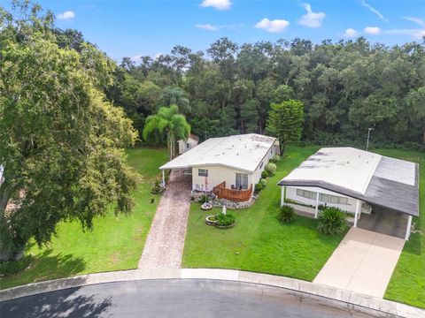 A home in ZEPHYRHILLS