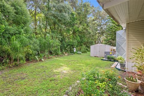 A home in ZEPHYRHILLS