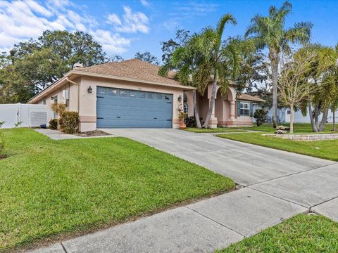 A home in TARPON SPRINGS