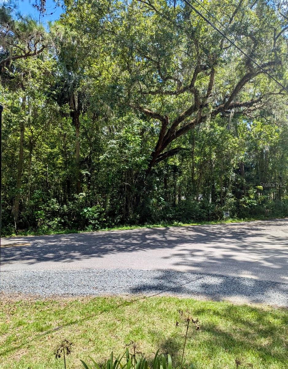 1/2 Acre Vacant, Residential Lot in Sherwood Hills Subdivision. Convenient to Downtown, Hospitals, Shopping and Country Club of Ocala. It is located right across the street from the entrance to Polo Lane, a very quiet and unique gated community.