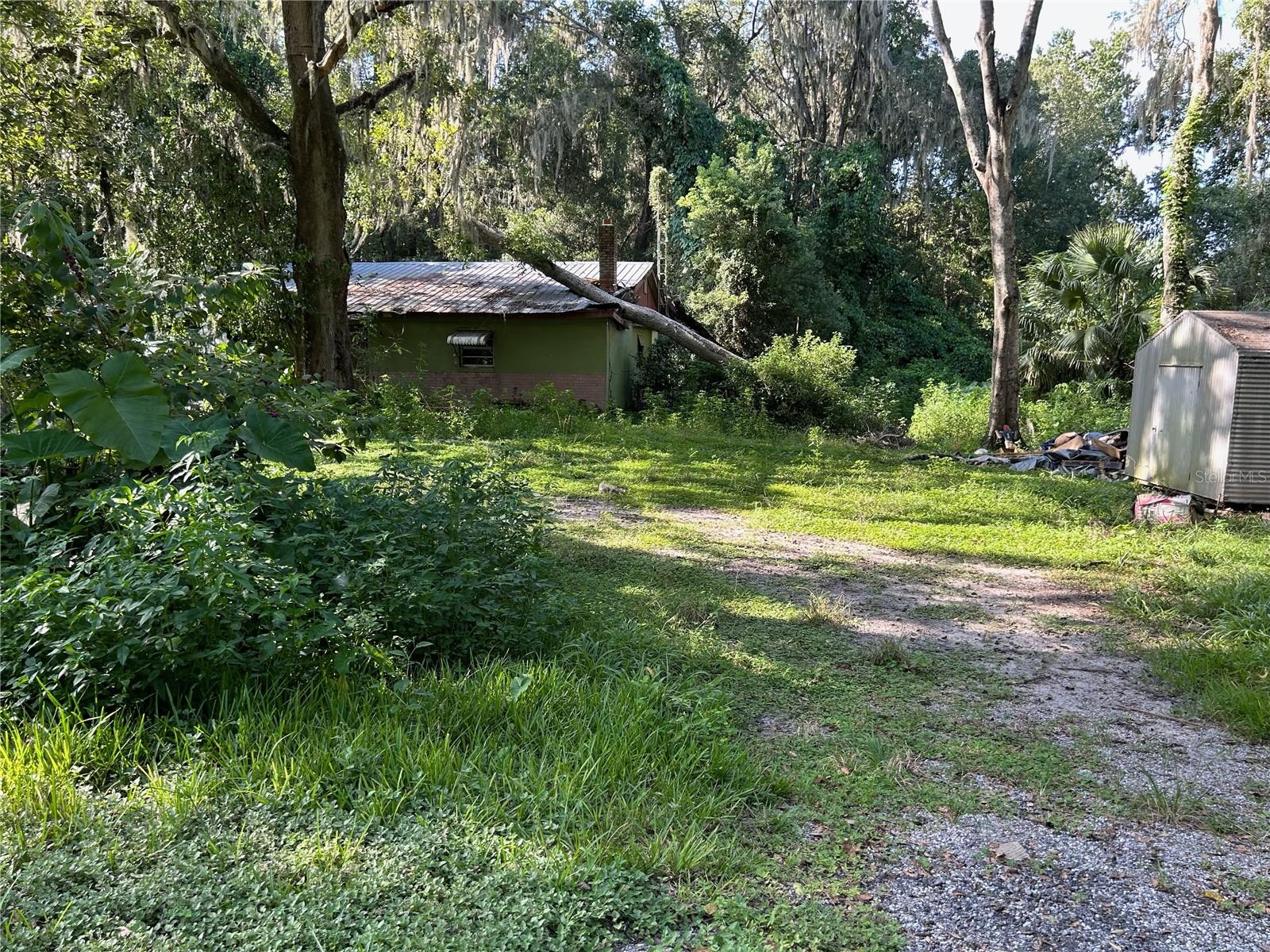 This large piece of land, 9.10 acres is situated in the heart of Belleview and not many left. This land is perfect for Ranch style living and raising your own farm animals or a horse farm. Built your dream home on it or place mobile homes on it to keep a large family together or make them rentals. The possibilities are endless. It is conveniently located minutes away from Ocala and The Villages. Easy access to SR 441, 301 and the I-75 and only minutes to visit the World Equestrian Center, Banyan Road Trailhead- Cross Florida Greenway, Santos Trailhead & Campgrounds and so much more. This property had the Main house and two mobile Homes on it in in the past..