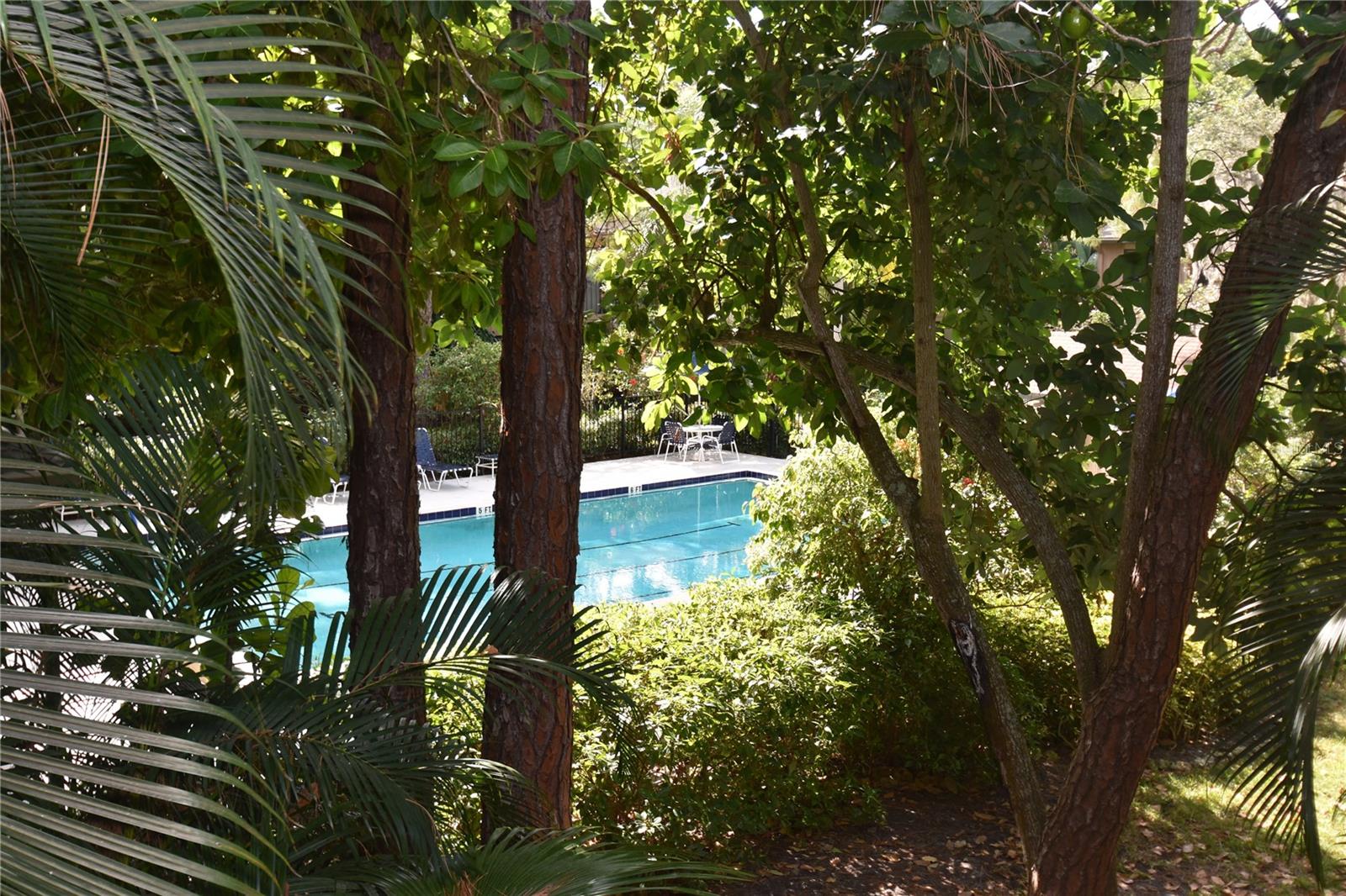 PELICAN COVE XIV - Residential Lease