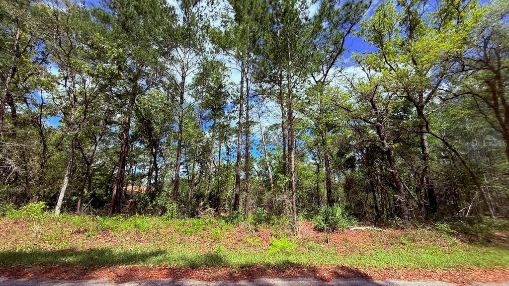 Photo of 15 Bay Court, Ocklawaha, FL 32179 (MLS # OM722515)