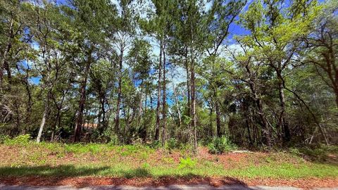 Lot 15 BAY COURT OCKLAWAHA FL 32179