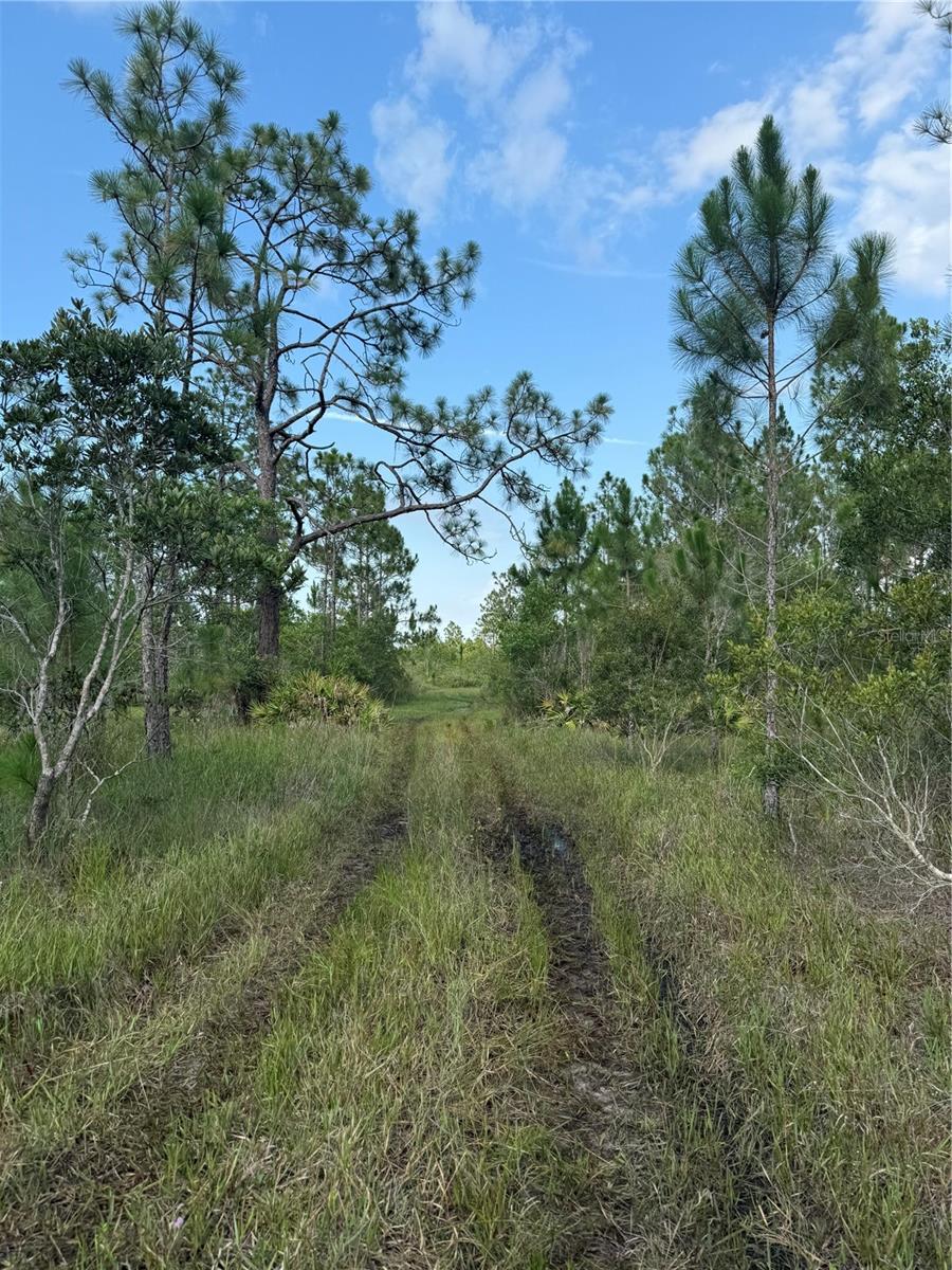 HOLOPAW GROVES ROAD Lot 125 & 126
