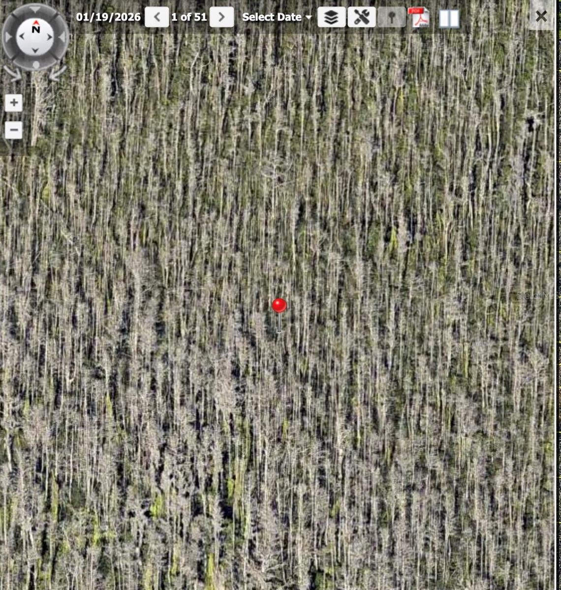 HOLOPAW GROVES ROAD
