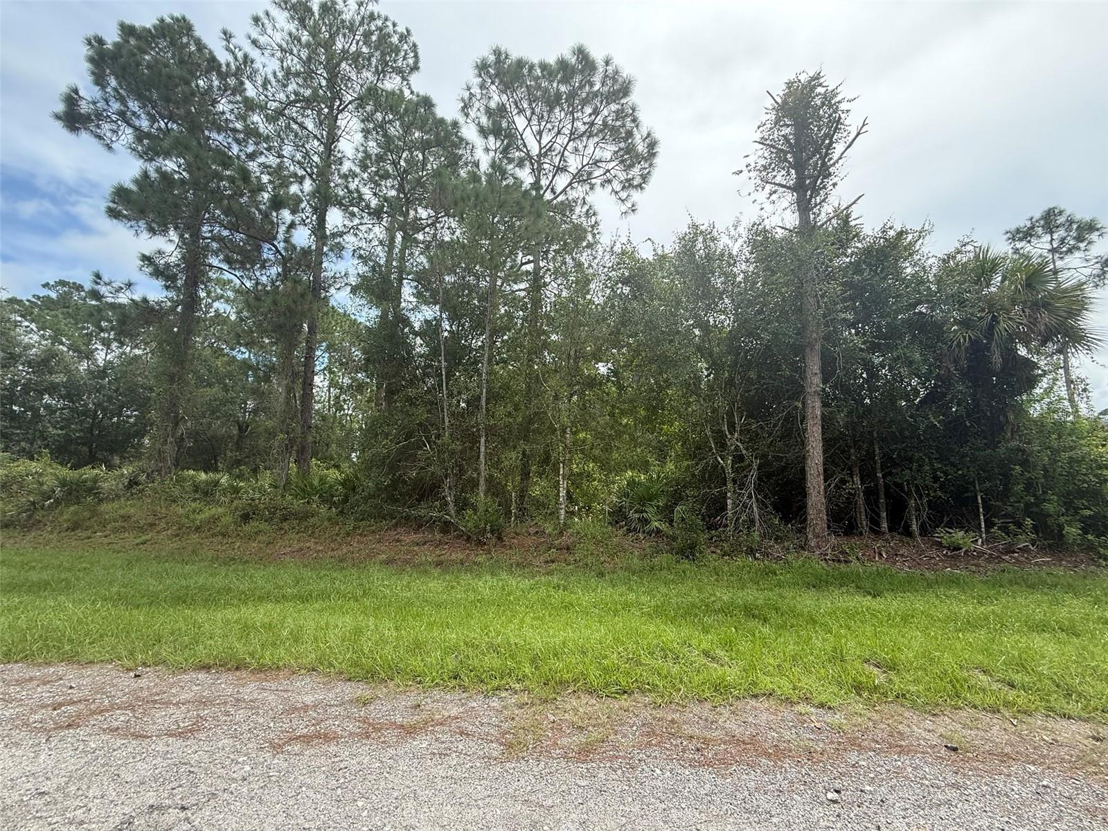 Great opportunity to own 1.06 acres in the Woodlands subdivision of Clewiston. This spacious vacant lot offers plenty of room to build your dream home, add a workshop, or create a private retreat. The property is located in a peaceful setting with plenty of privacy while still being close to schools, shopping, and major roadways. Enjoy the best of both worlds with quiet country living and convenient access to town. Perfect for investment or future development.