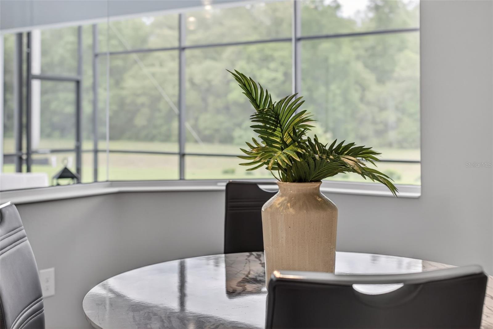 LAKES OF MOUNT DORA - Residential