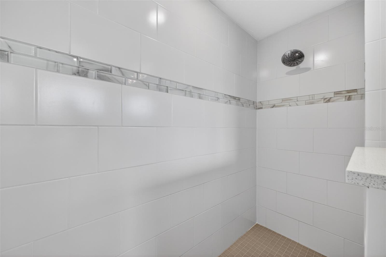 LAKES OF MOUNT DORA - Residential