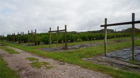 Tiny photo for Douglas Road, Groveland, FL 34736 (MLS # G5108033)